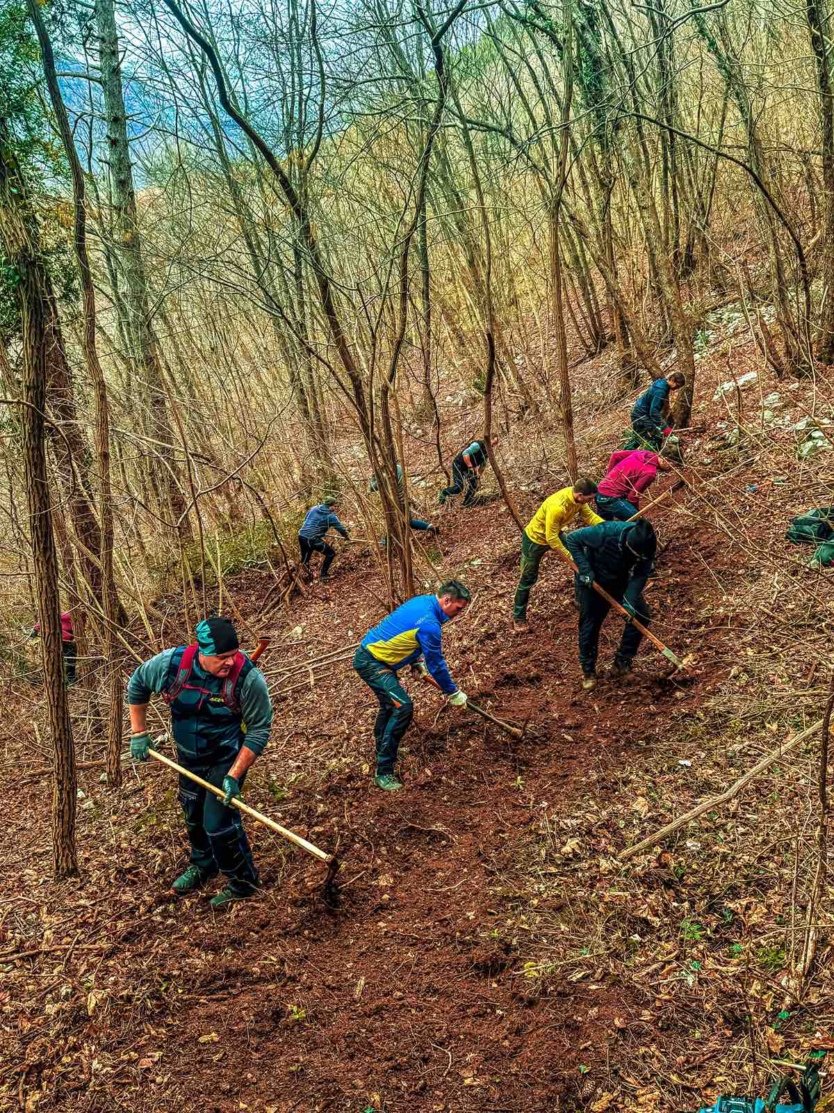 TCS Gravity – logo